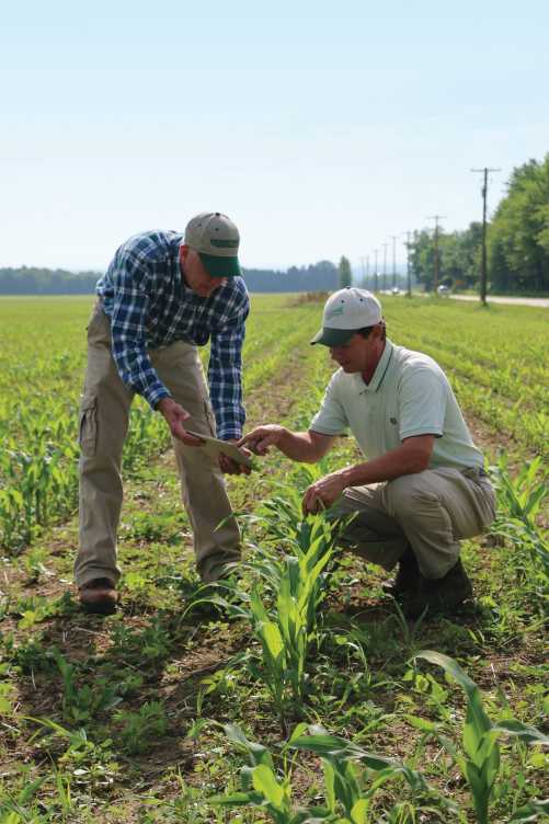 Scouting, Soil Checks Gaining Value