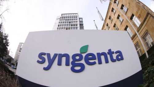 Syngenta Signs Microbial Development Deal With DSM