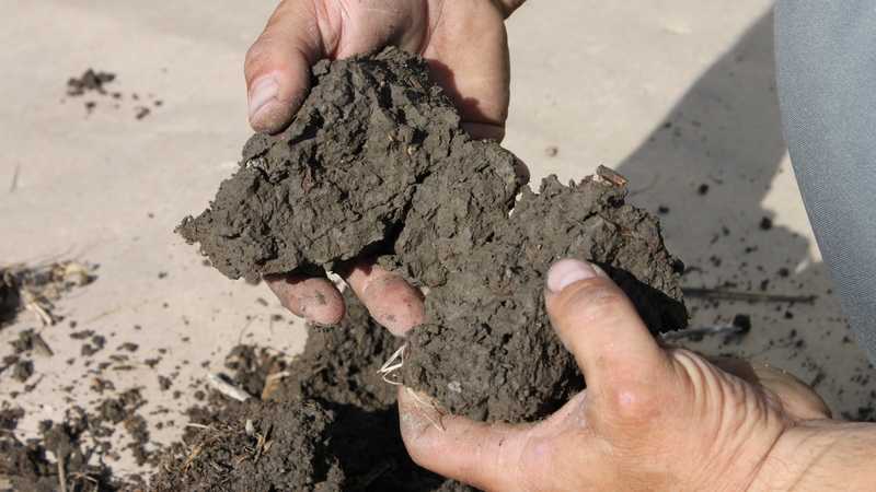 Soil
