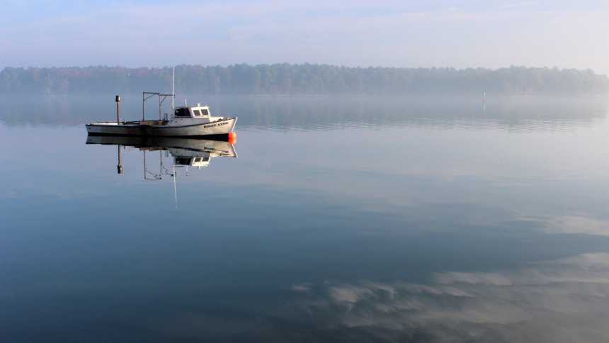 Court Decision Protects Chesapeake Bay’s Water, Wildlife