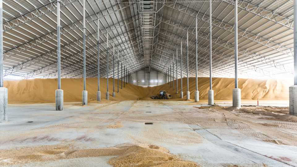 FarmLead Launches GrainCents Cash Markets Advisory Service