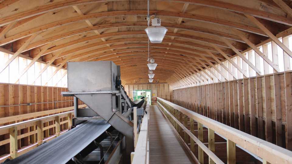 Stainless steel overhead conveyor at Sunrise Cooperative with tripper fills bins to capacity