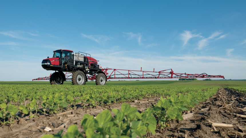 Confirm Disease Before Spraying Fungicides