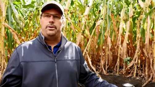 When To Use Ag Lime And Gypsum To Improve Soil