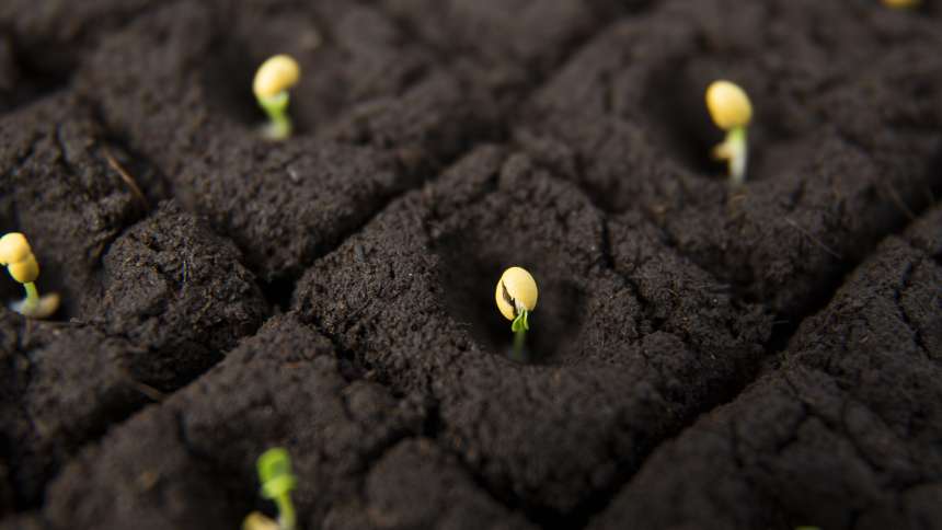 Croda Acquires Innovative Seed Enhancement Company Incotec