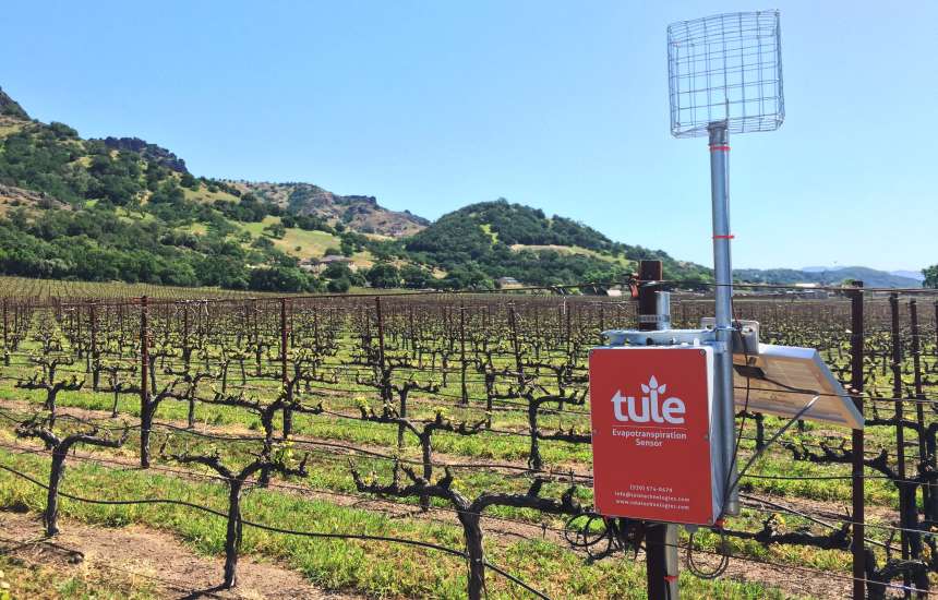 Tule Technologies: Monitoring Water Stress Can Unlock Potential