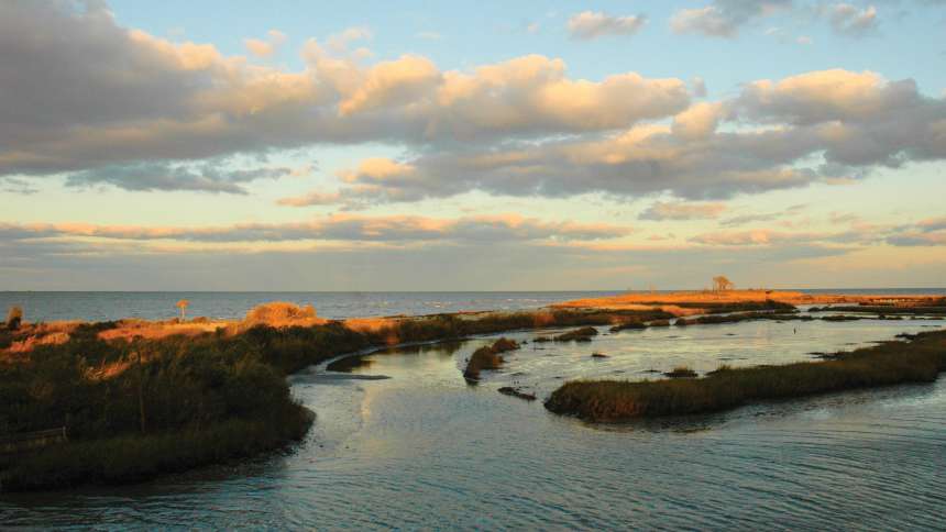 Hints Of The Chesapeake Bay’s Brighter Future