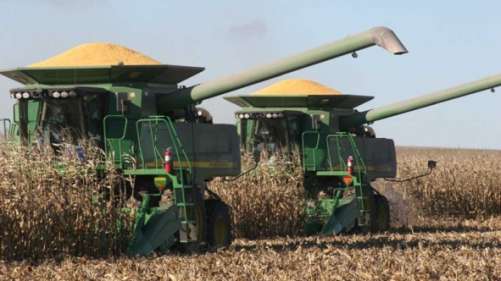 Microbes Added To Seeds Could Boost Crop Production