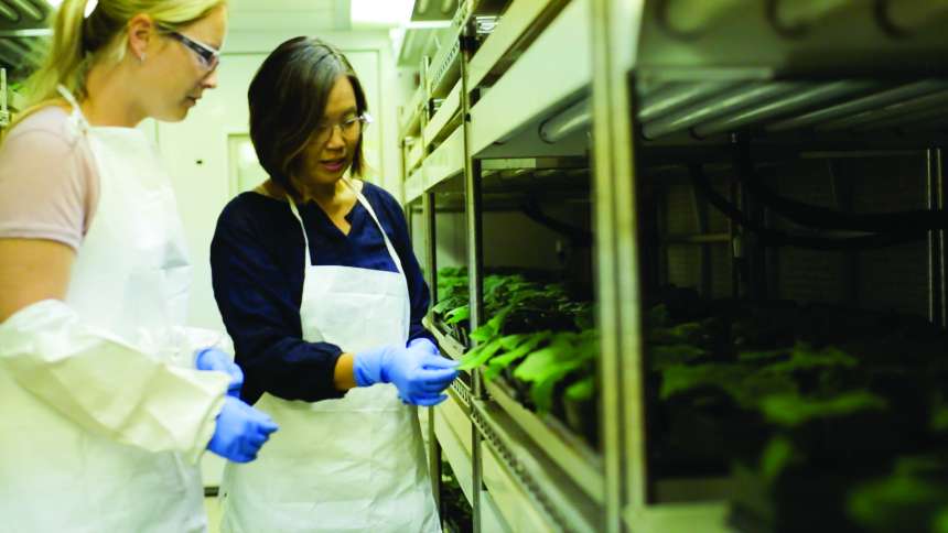 What’s Up Next For DuPont