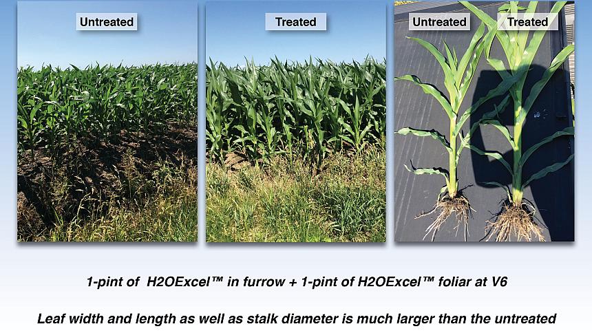 Brookside Agra’s H2OExcel Boosting Yields In University Trials