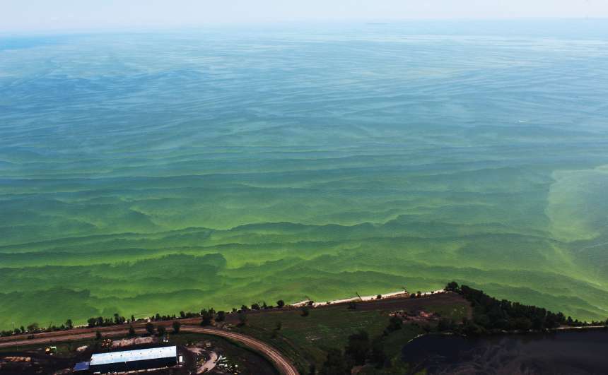 Lake Erie Water Researcher: Everyone Needs To Step It Up