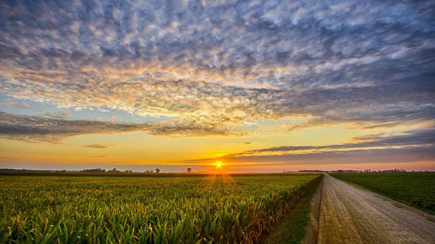 A Turning Point Year for Collaboration in Agriculture