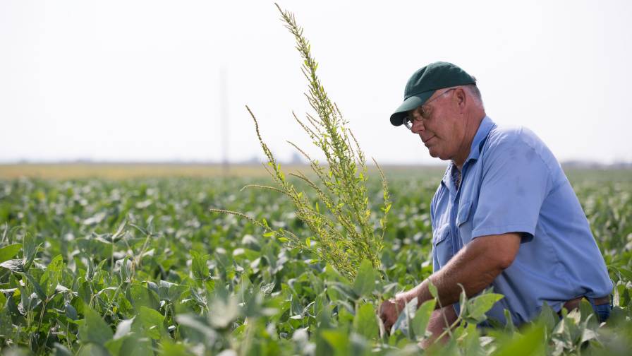 Top 10 Strategies for Managing Herbicide Resistance