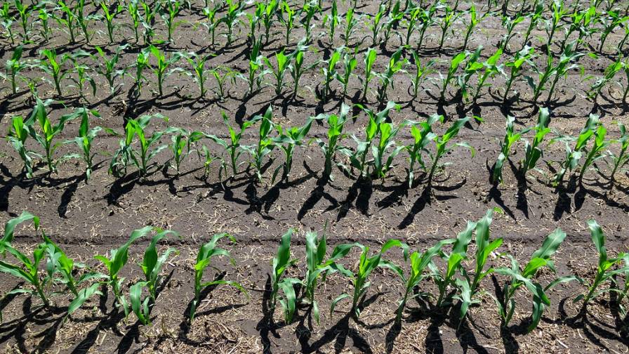 Top 10 Themes from the 2017 4R Nutrient Stewardship Summit