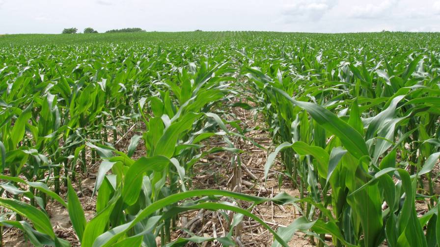 Report Examines Effectiveness of U.S. Crop Protection Channel