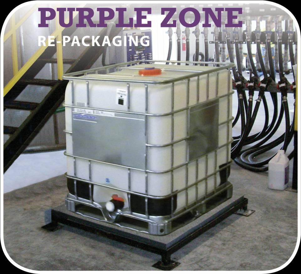 Junge Purple Zone 1