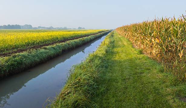 Study: Saturated Buffers Reduce Nitrates From Subsurface Field Drainage Systems