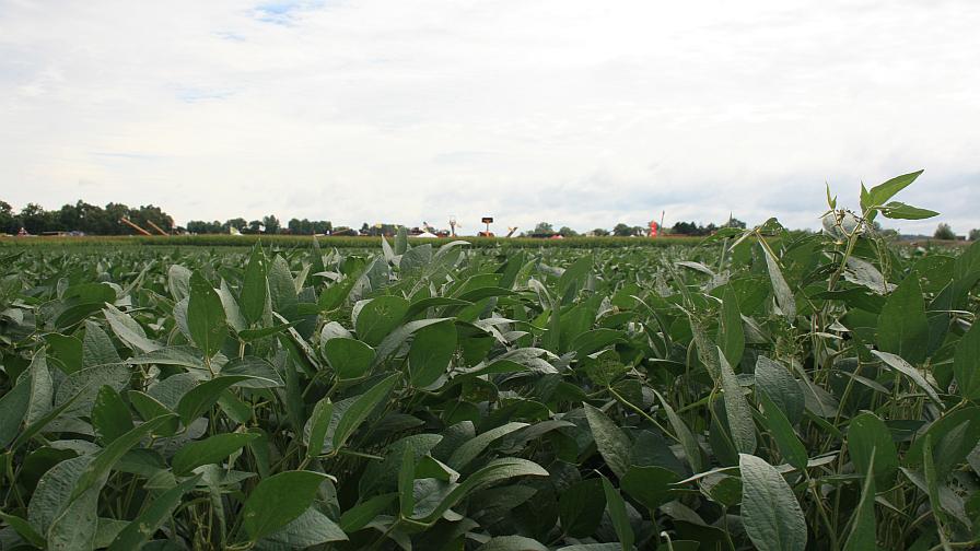 Trump Trade War Divides Farming World as China Demand Shifts