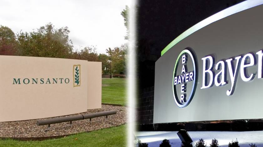 Bayer Monsanto