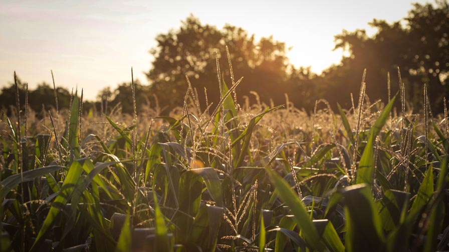 Indiana Ag Retailer Joins CommoditAg