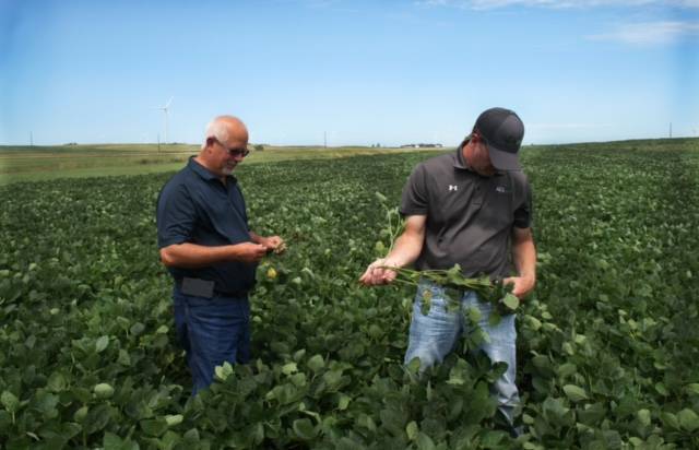 Certified Crop Adviser Program: Still Thriving After 25 Years