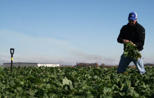 Coronavirus Conversations: Ag Service Providers Cope With the Unknown