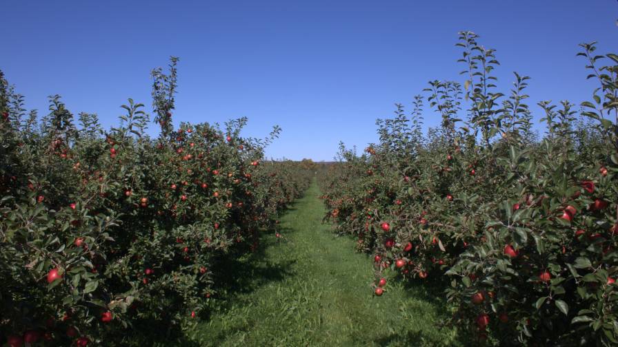 MyLand Launches Warranty Program Guaranteeing Grower ROI from its Soil Health Service