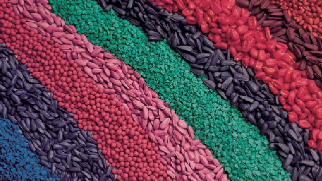The Continuing Importance Of Seed Care