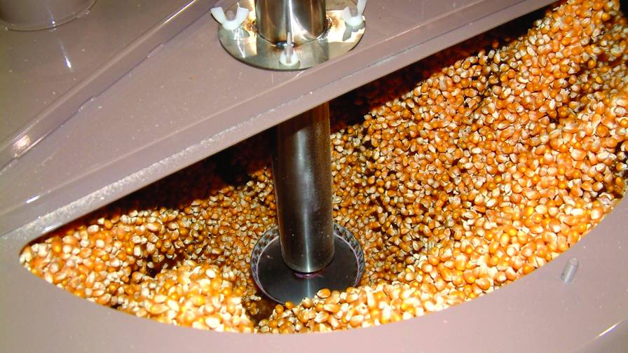 Custom Blends: Tucking Those Seeds Safely Away