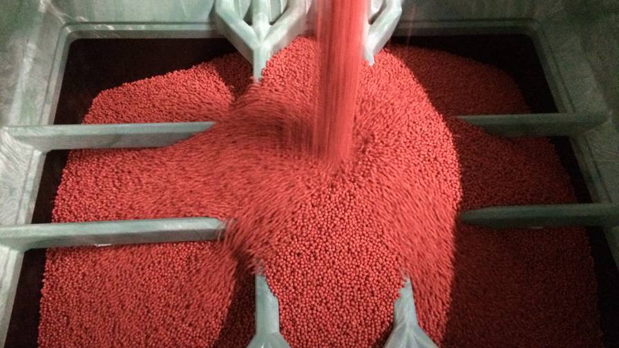 Using Seed Treatments To Nourish And Protect