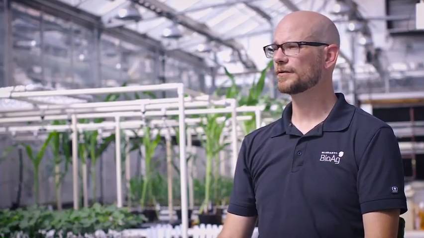 Biologicals Can Help Increase Phosphate Availability