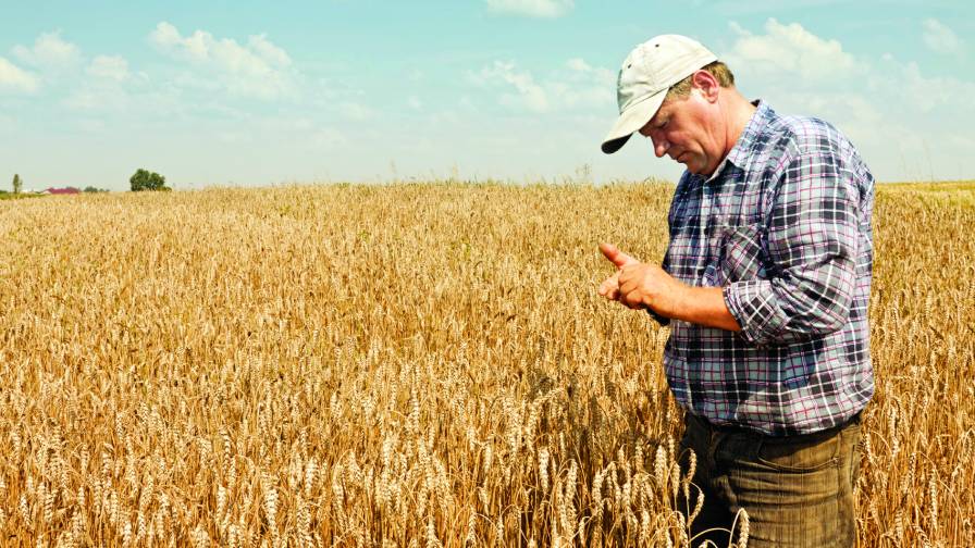 Grower Groups Universally Oppose New Mexican Tariffs