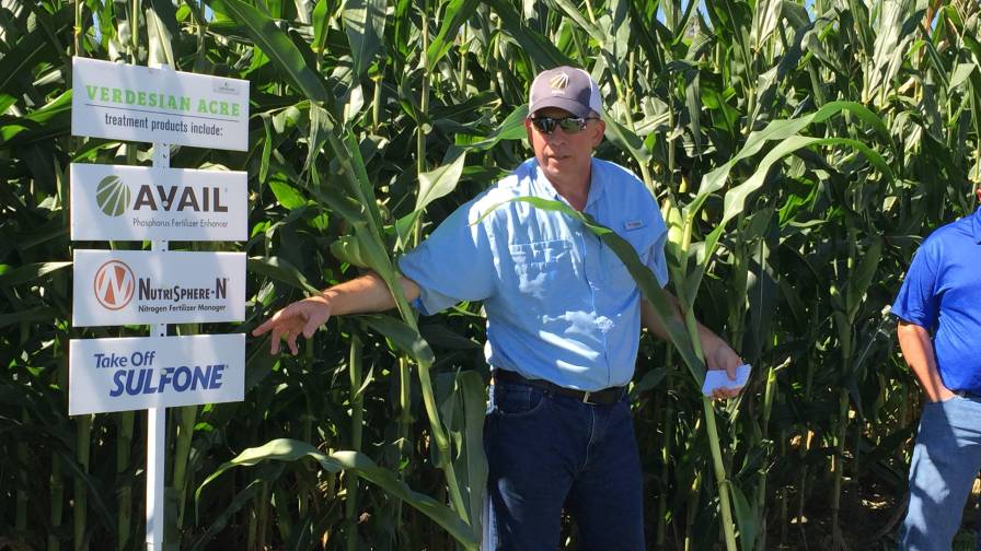 Verdesian: Sustainability Goes Hand in Hand with Profits