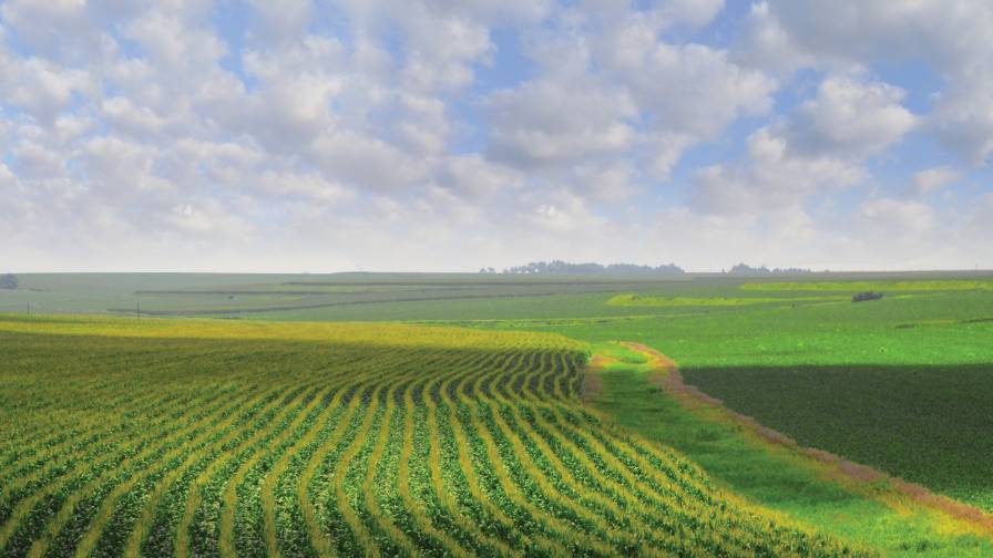 Farm Bill, Interest Rates Among Key Factors Impacting Agricultural Land Values in 2018
