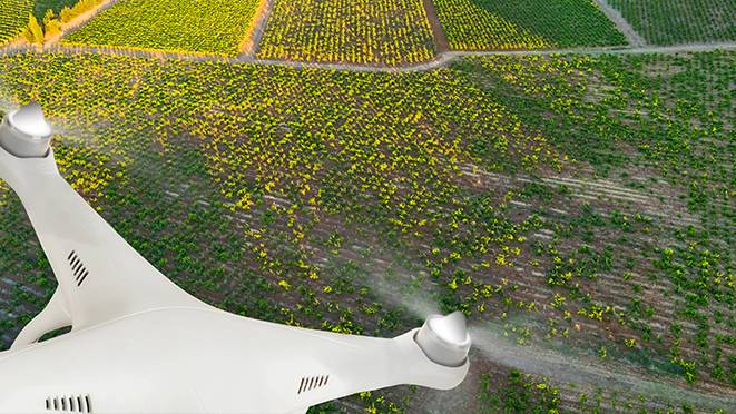 Drone