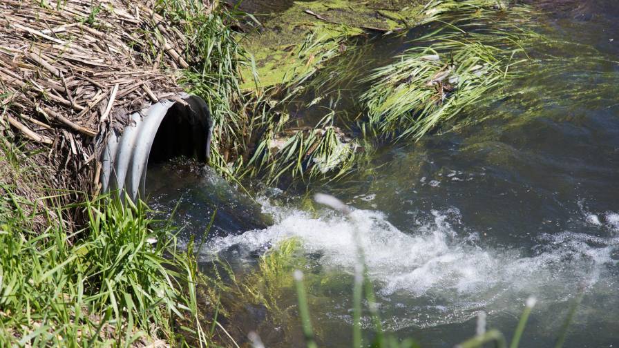 New System Could Remove Two Water Pollutants from Ag Fields