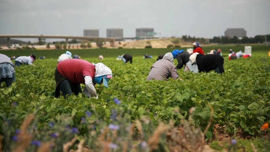 Greenhouse Grower: Our Agricultural Guest Workers Deserve Better