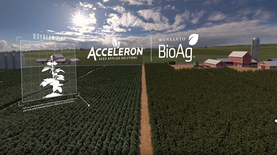 EPA OKs Monsanto NemaStrike Technology in Row Crops