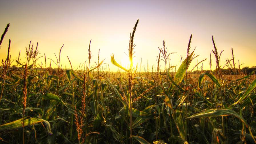 Ever.Ag Acquires Adapt-N from Yara North America