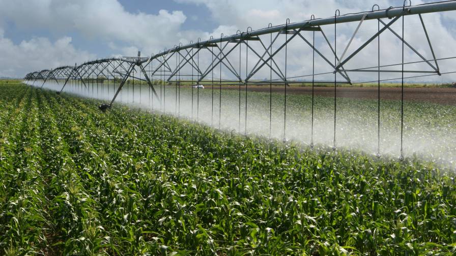 Corn-Irrigation