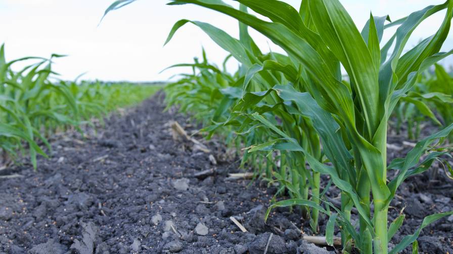 Growers Edge Partners With Industry Leaders to Incent Farmers to Embrace Soil Health Solutions
