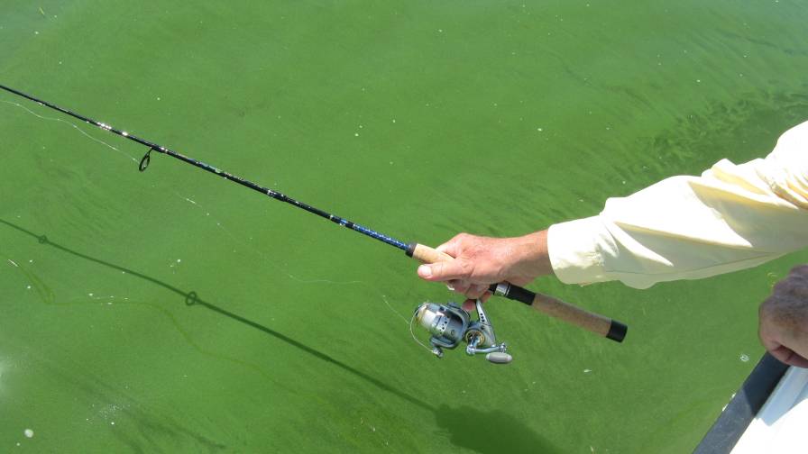 Ag Retailers Report Progress on Products and Services that Improve Water Quality