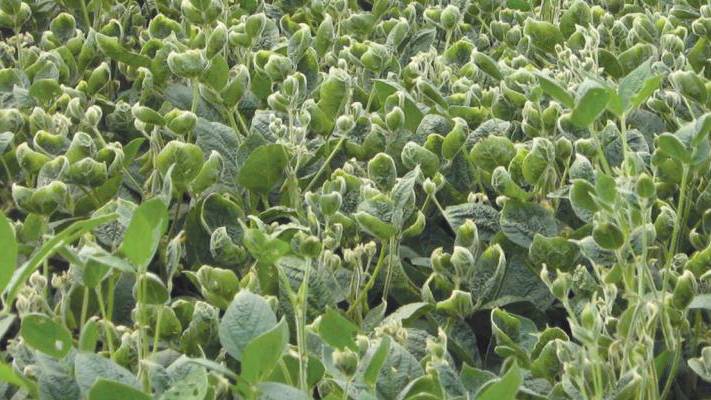 Year in Review: Top Ag Retailer News of 2017