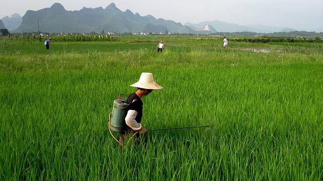 Global Crop Protection Product Supply, Demand, and Use Trends — A Positive Outlook