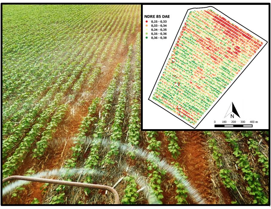 Why Are Service Providers Slow to Adopt Crop Sensors for Nitrogen Management?