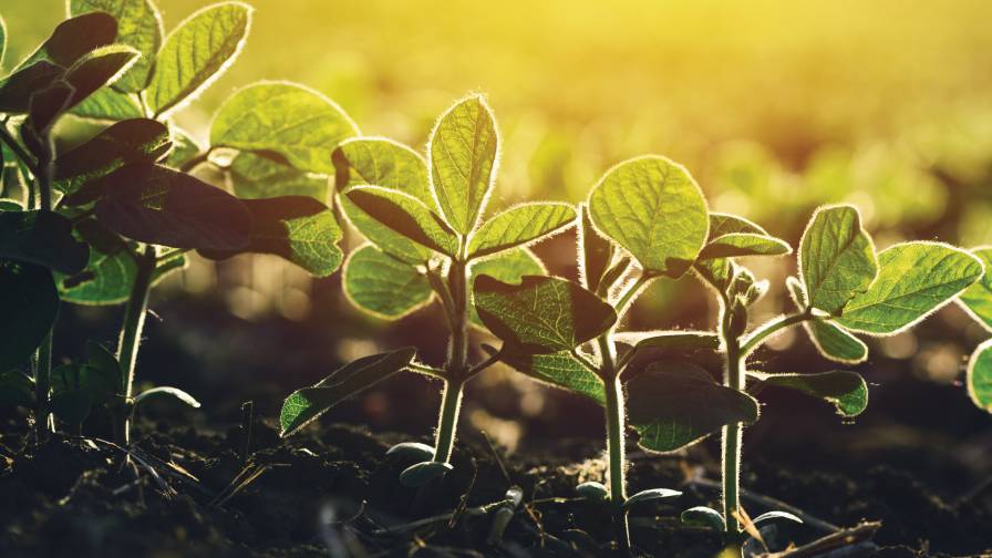 Biological Products Gaining Momentum for Ag Retailers