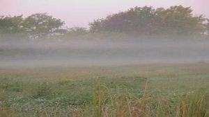 Daily Dicamba Update: Temperature Inversion Knowledge Critical for Dicamba Success