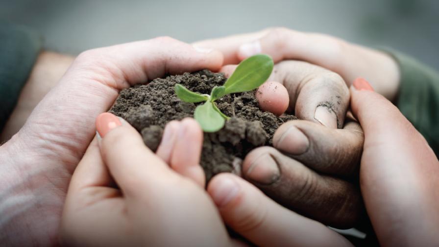 5 Reasons Why Entering the Environmental Respect Awards Is Good for Business