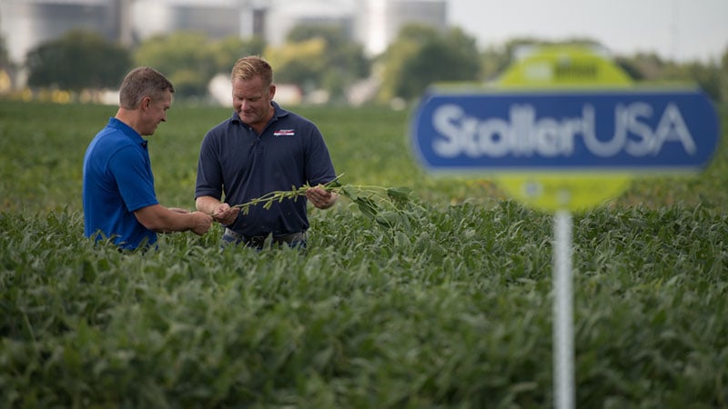 Plant Nutrition is Key to Increased Yields