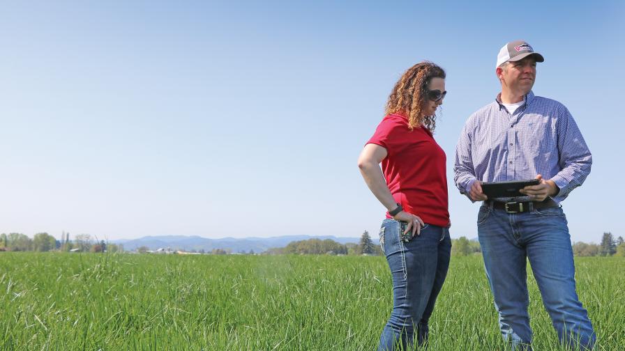 Valley-Agronomics-2018-cover-story-agronomists-in-field